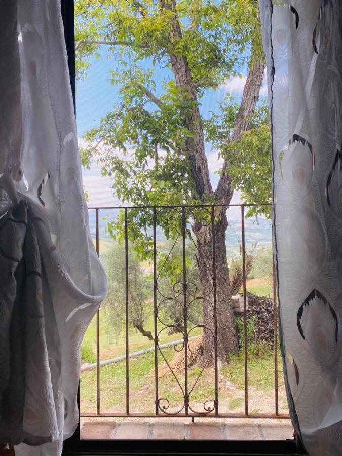 Agriturismo Flara Basciano Εξωτερικό φωτογραφία